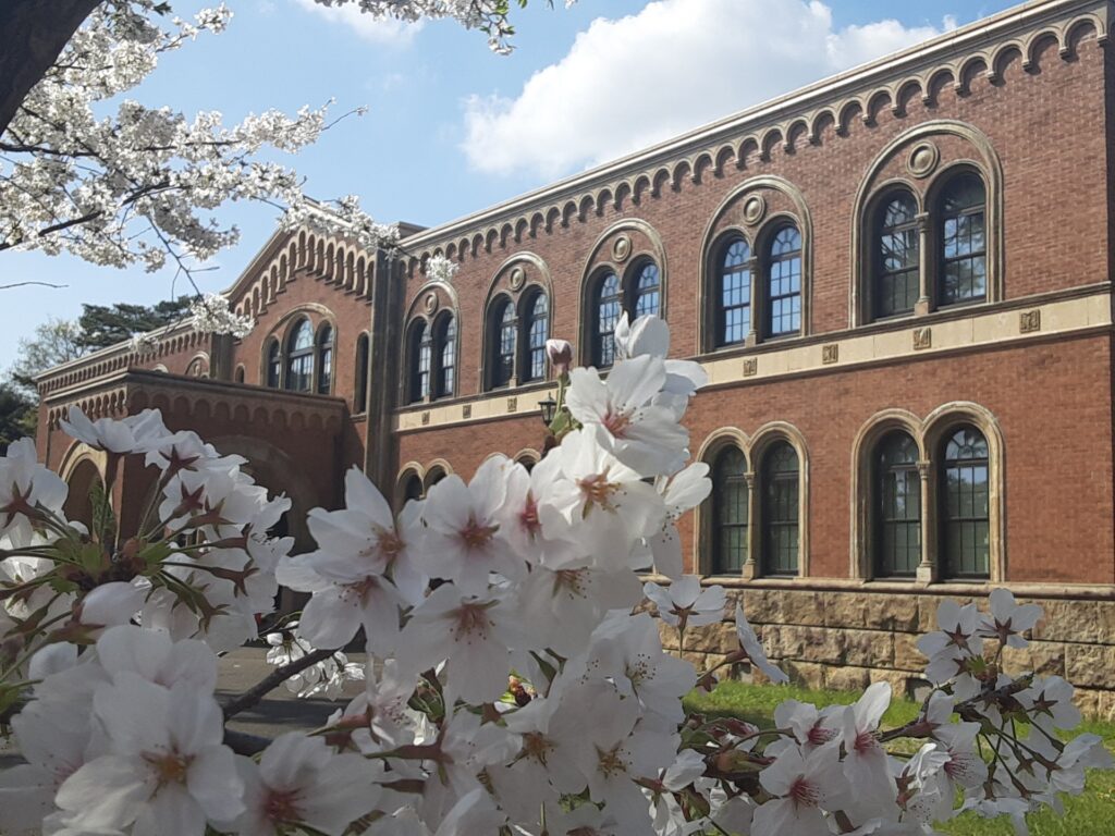 桜の咲く大学のキャンパス
