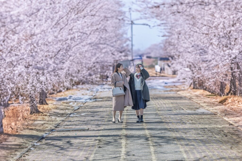 桜並木を並んで歩く保護者と生徒
